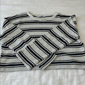 Zara Striped Cropped Knit Sweater